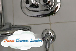 professional cleaning services